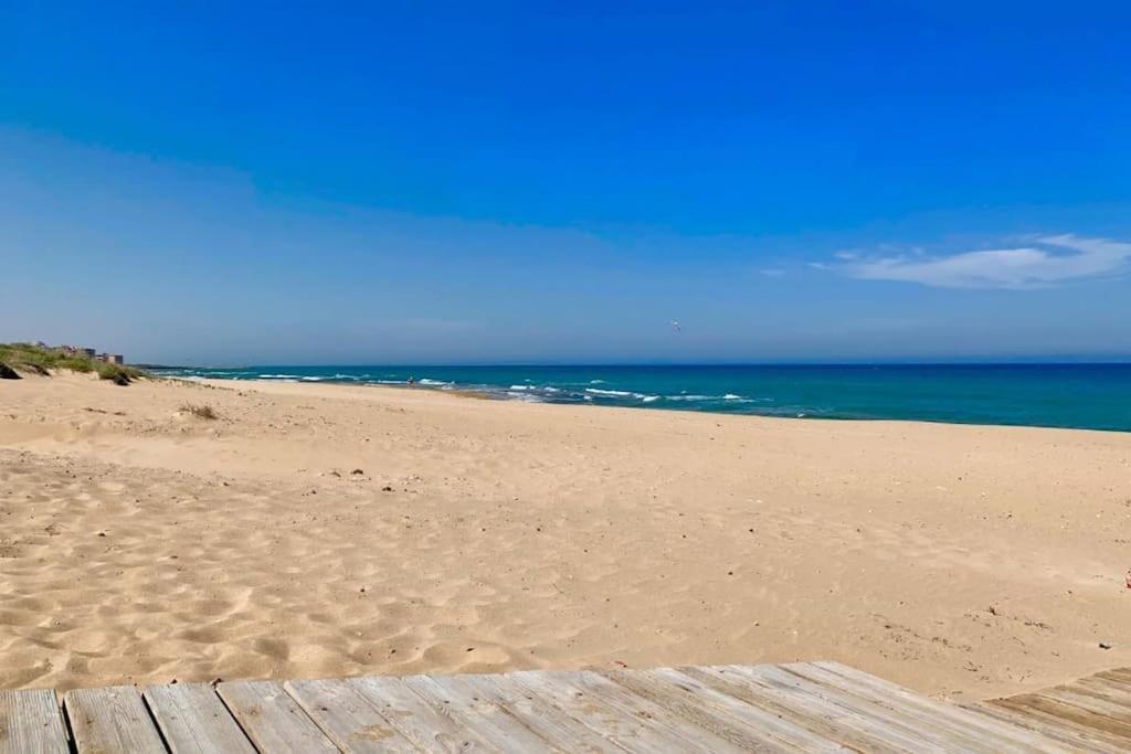 Azul Beach By La Mata Beach Torrevieja Eksteriør bilde